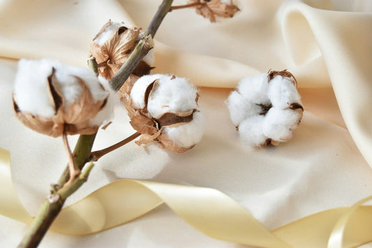 Deine besten Gründe, Perkal Baumwolle zu wählen - by Aylin Koenig