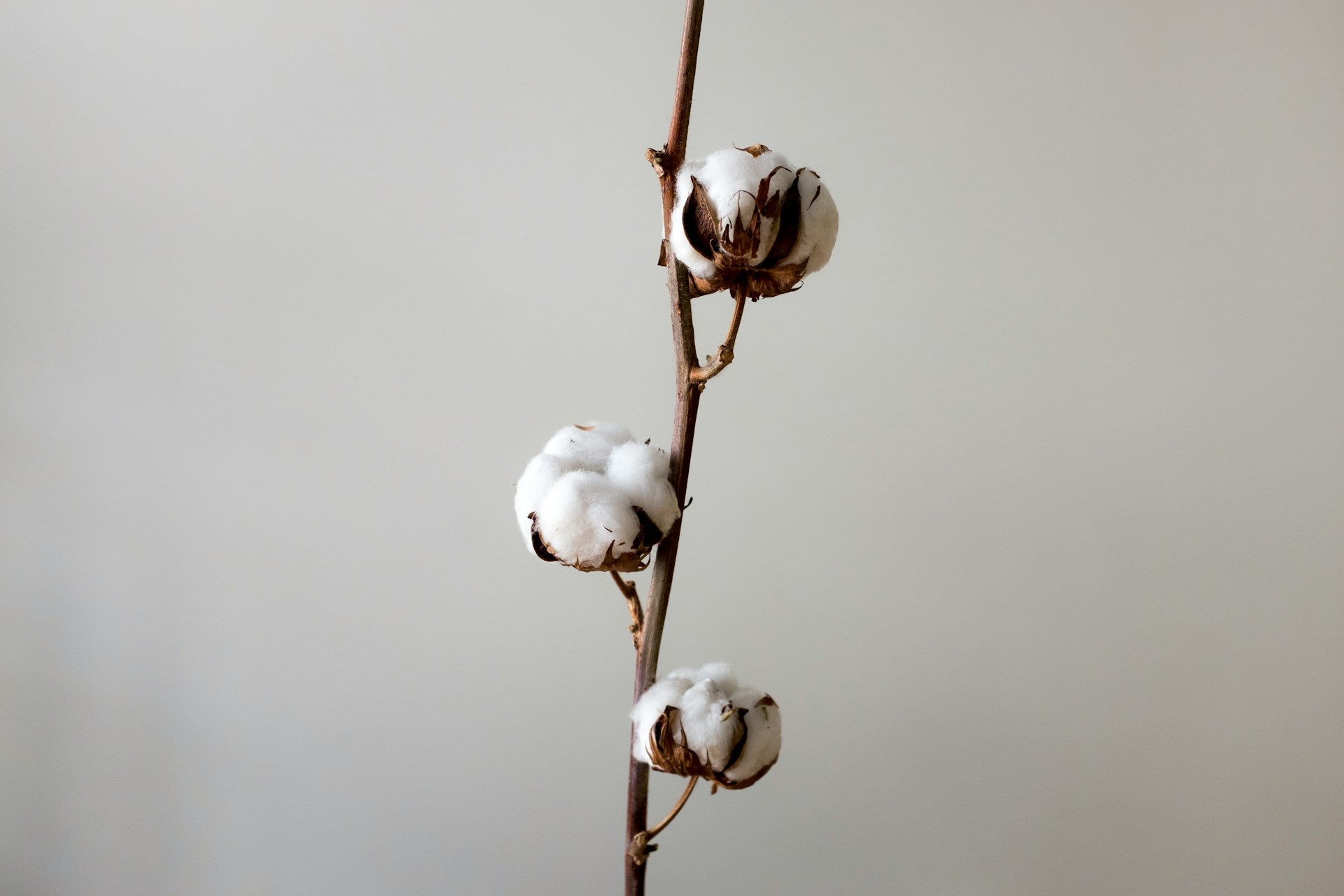 Kuschelzeit Deluxe: Bademäntel Baumwolle zum Verlieben - by Aylin Koenig