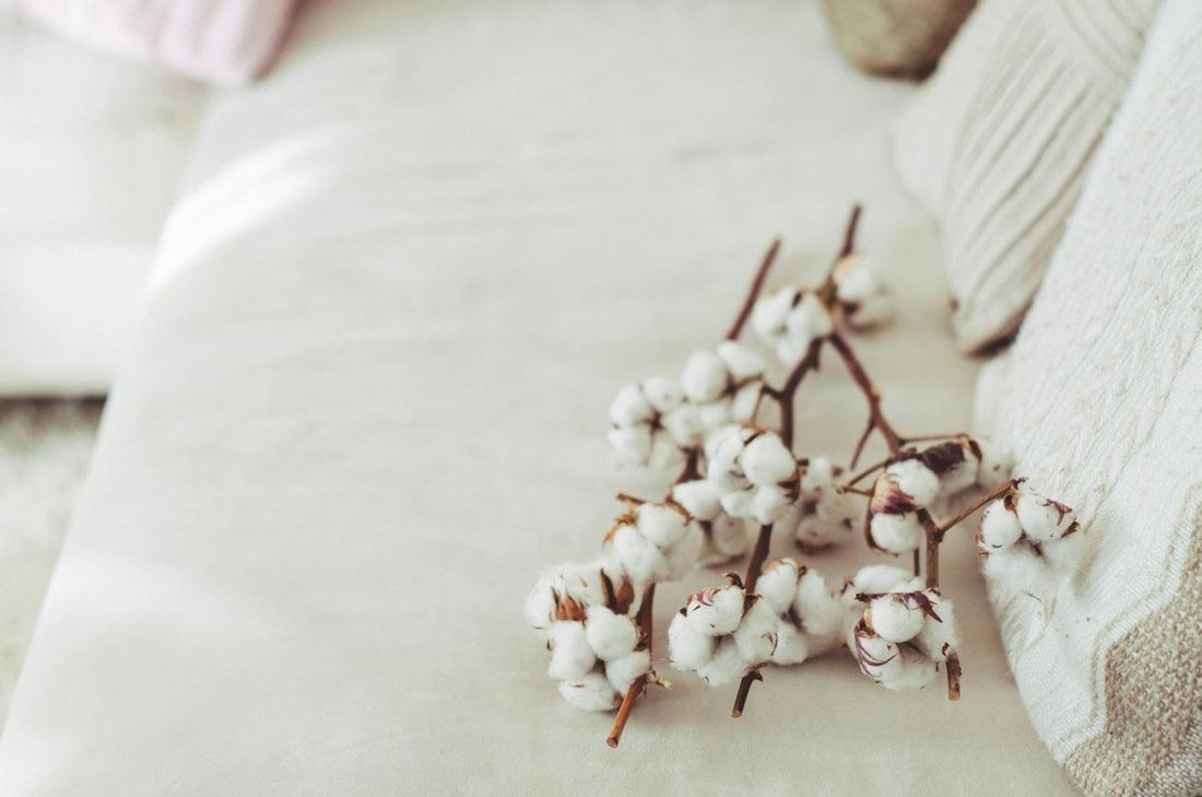 Was ist Baumwolle? Deine einfache und grüne Lösung - by Aylin Koenig