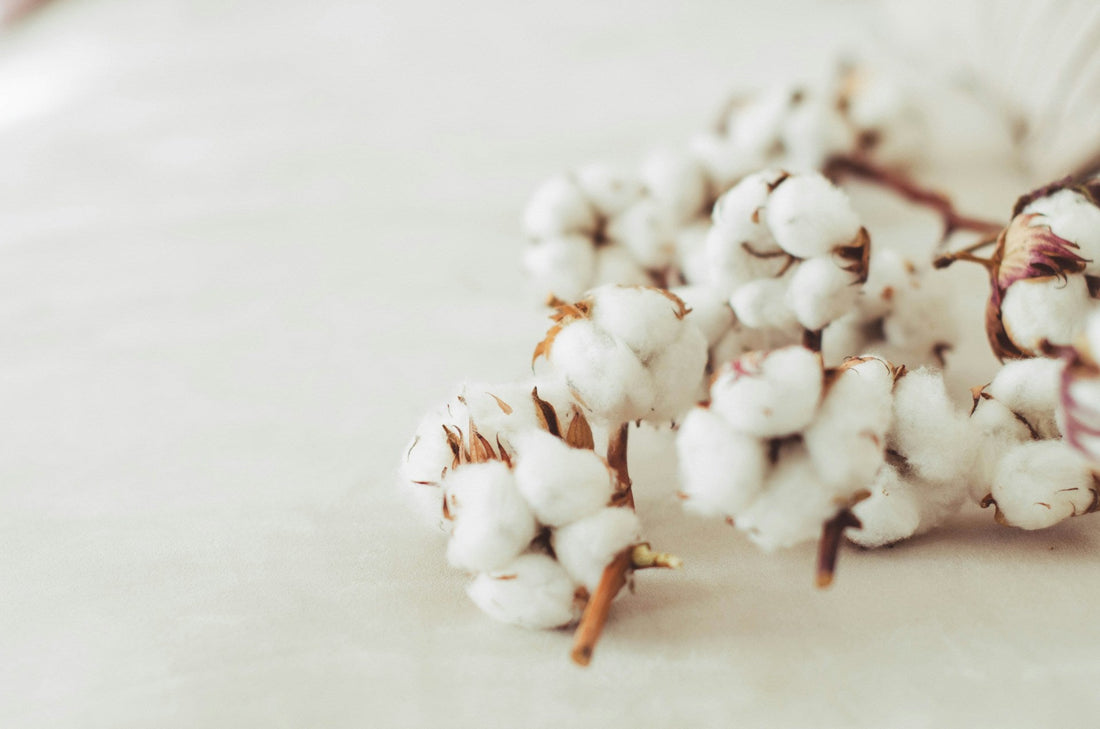 Welches Waschmittel für Baumwolle sorgt für strahlende Farben und Sauberkeit - by Aylin Koenig